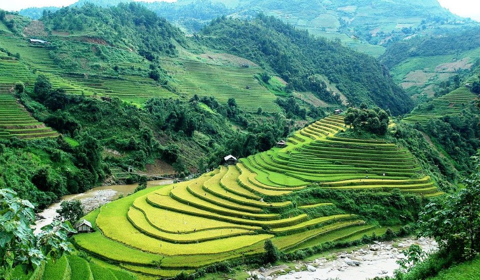 Mù Cang Chải, Vietnam